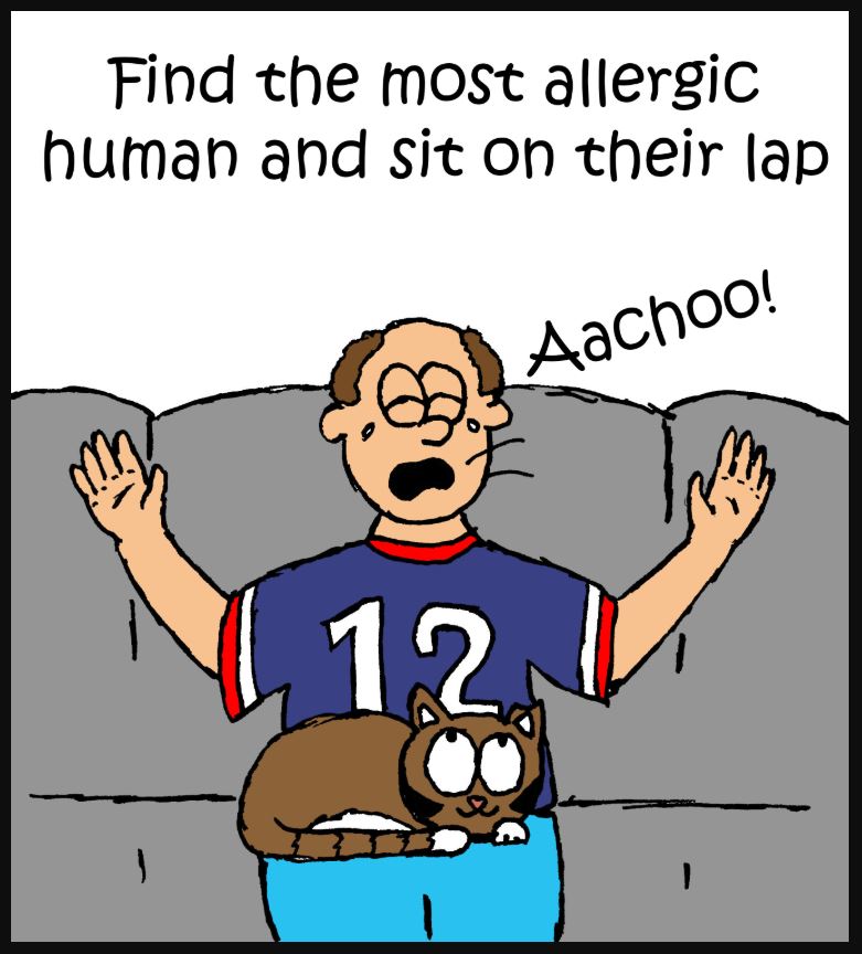 iizcat superbowl cat comic 2