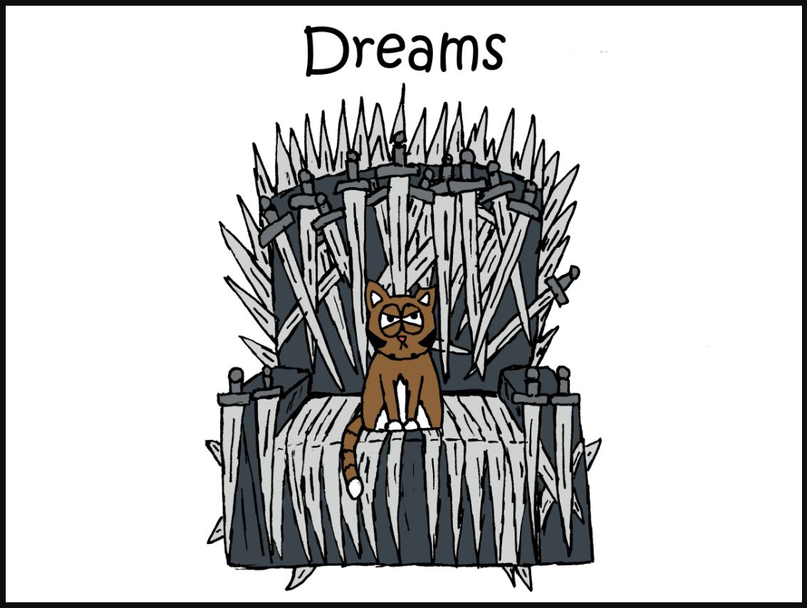 cat pictures