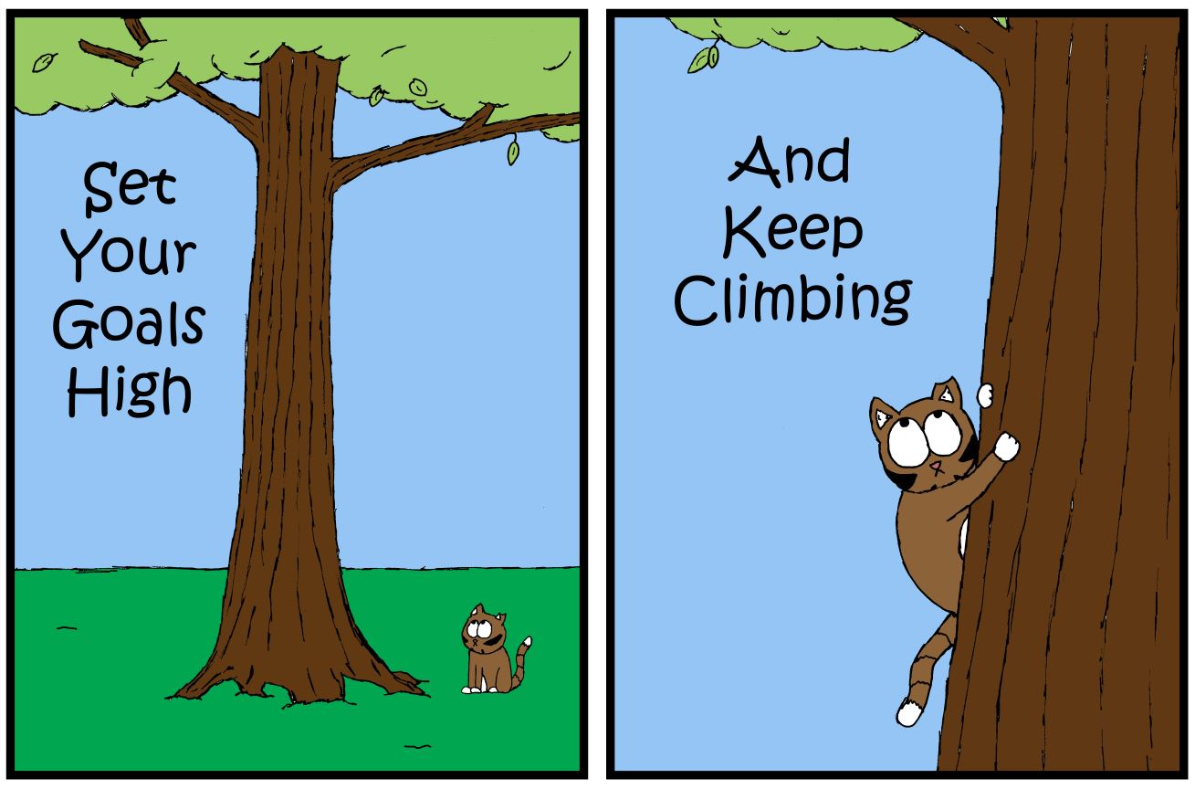 cat pictures