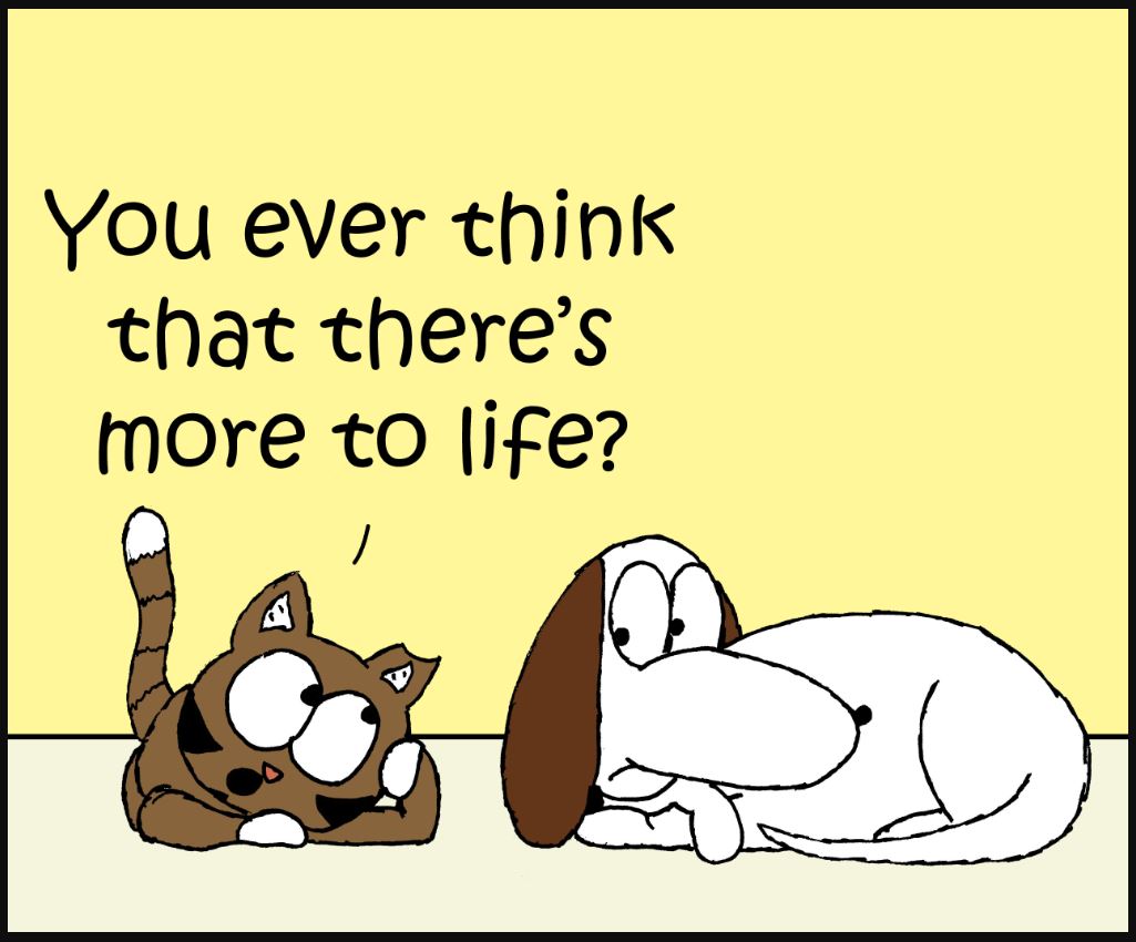 iizcat more to life comic 1