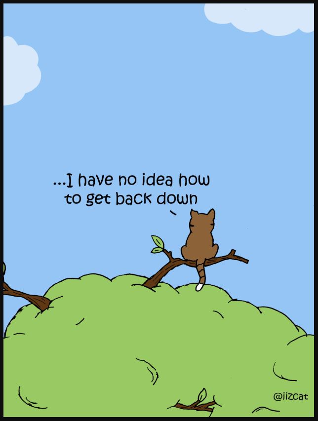 iizcat set your goals high comic 5