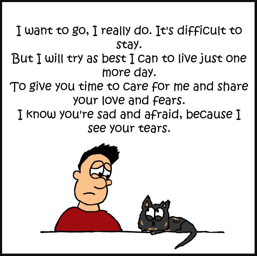 iizcat may i go now comic 4