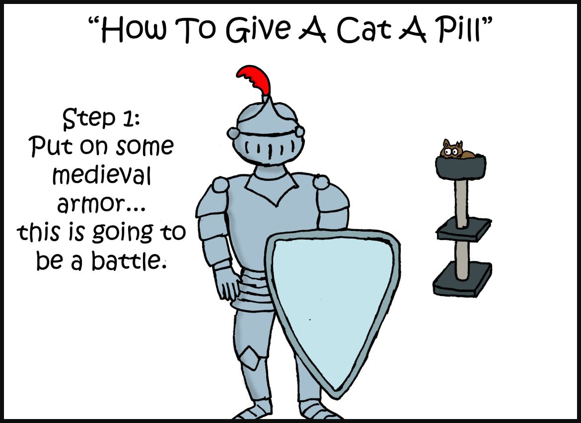 how to give a cat a pill comic 1