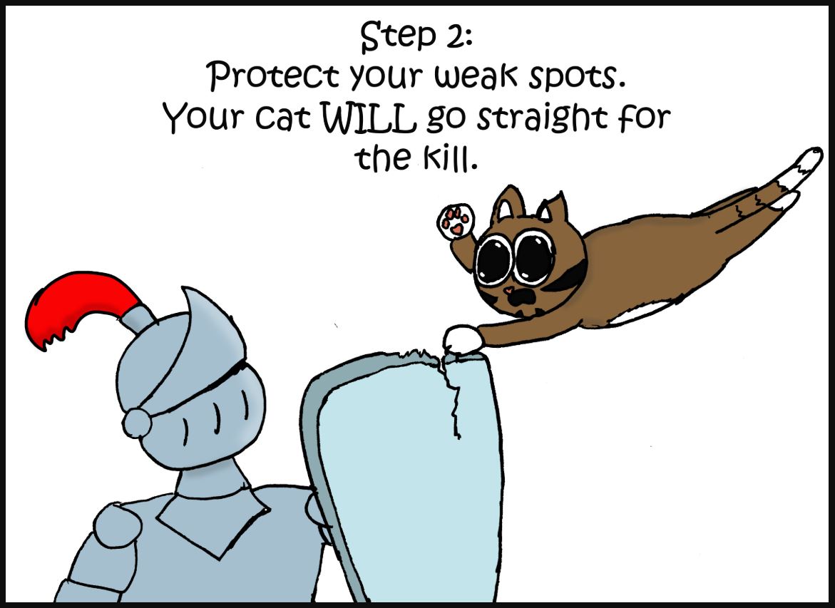how to give a cat a pill comic 2