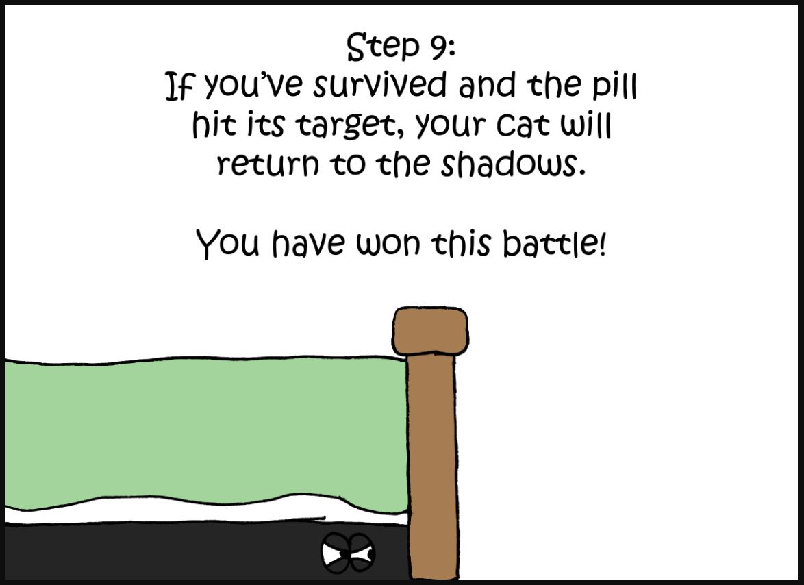 how to give a cat a pill comic 9