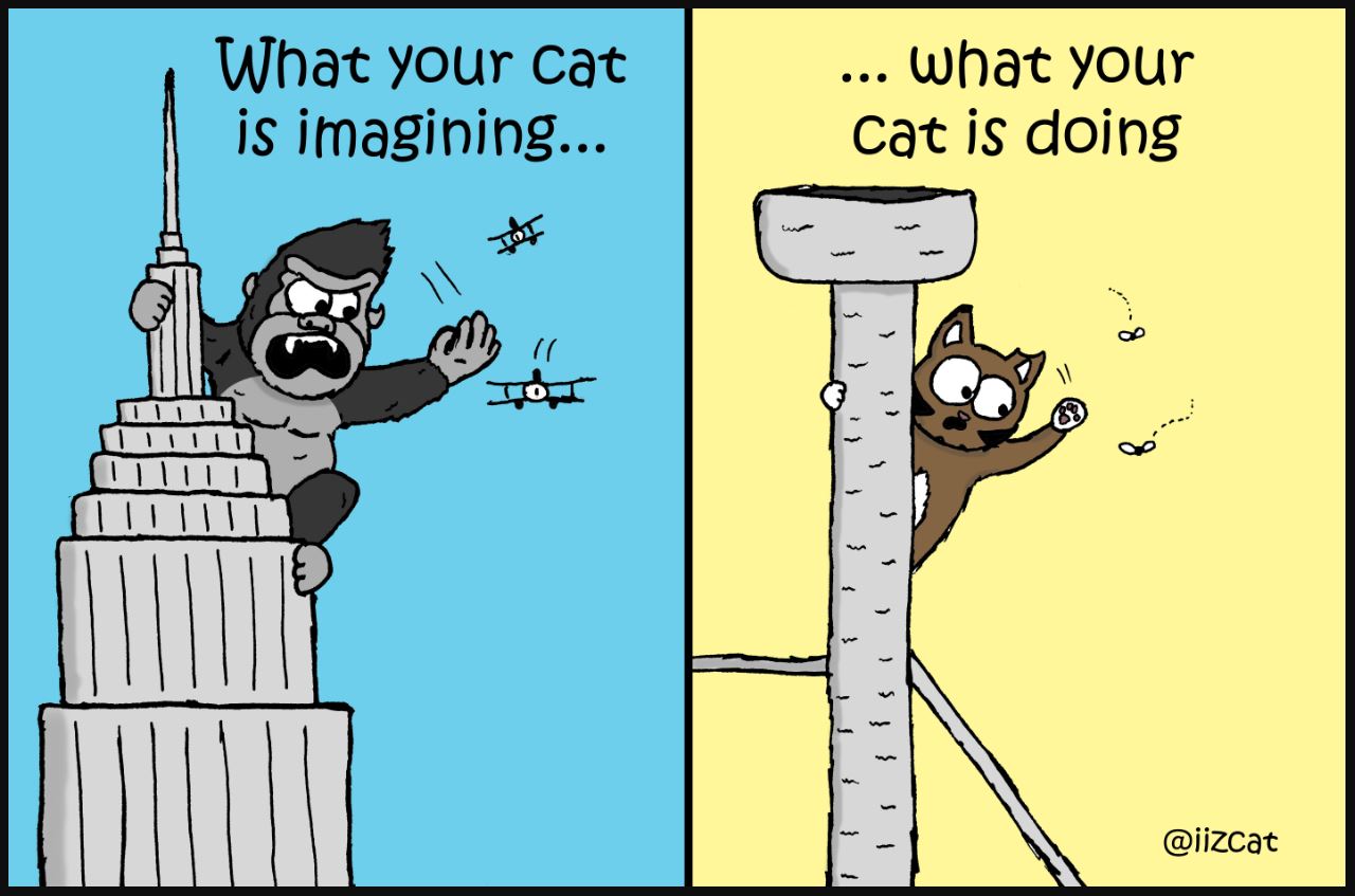 king kong kitty comic iizcat