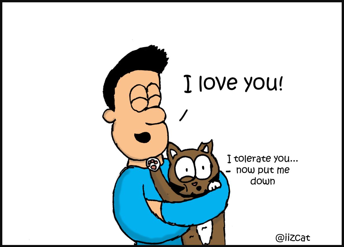 national hug your cat day iizcat comic