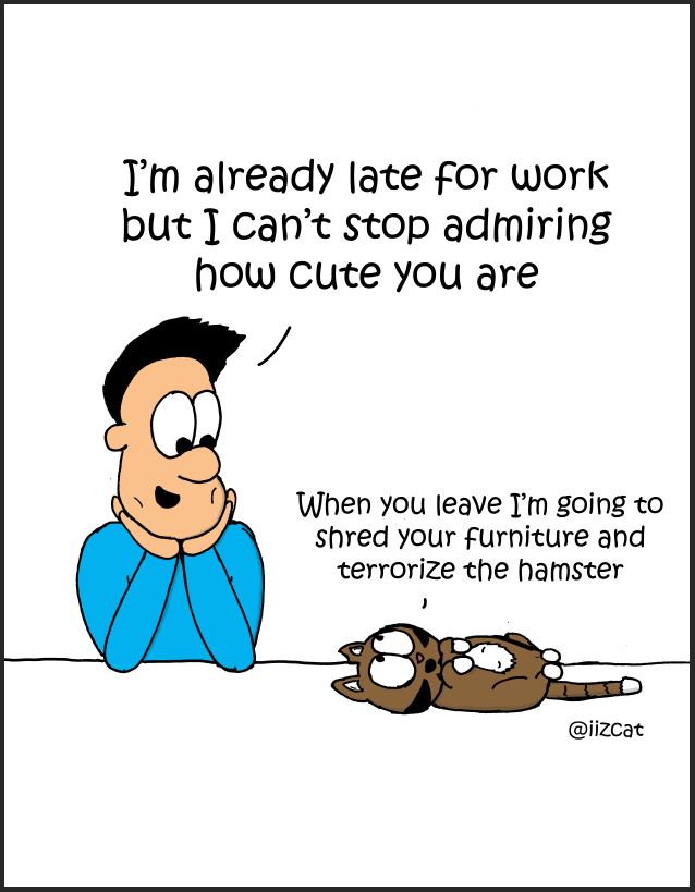 too cute iizcat comic