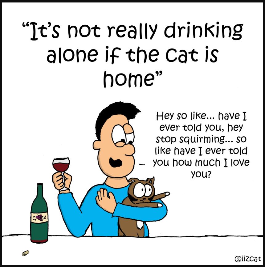 cat pictures