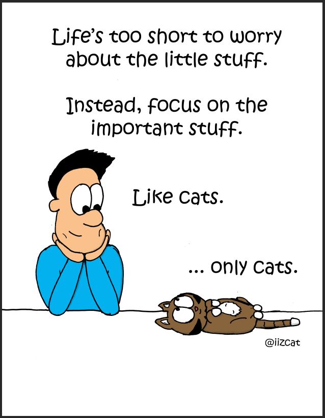 important stuff comic