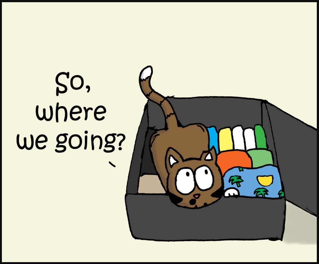 going on vacation cat comic 1