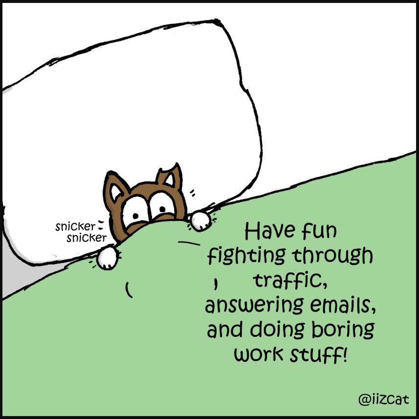 cat pictures