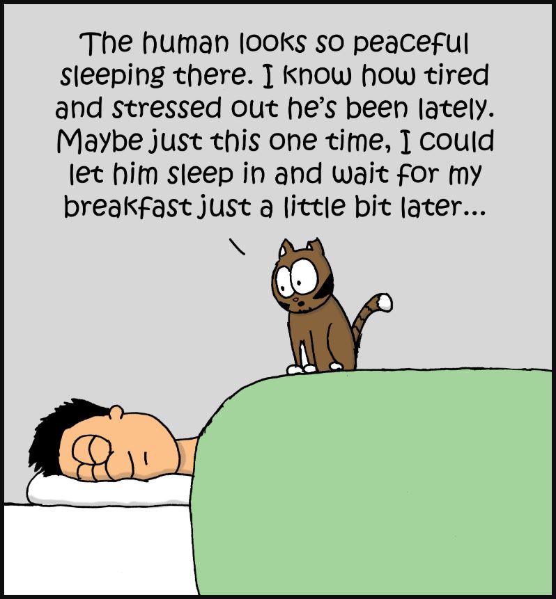 sleep in comic 2