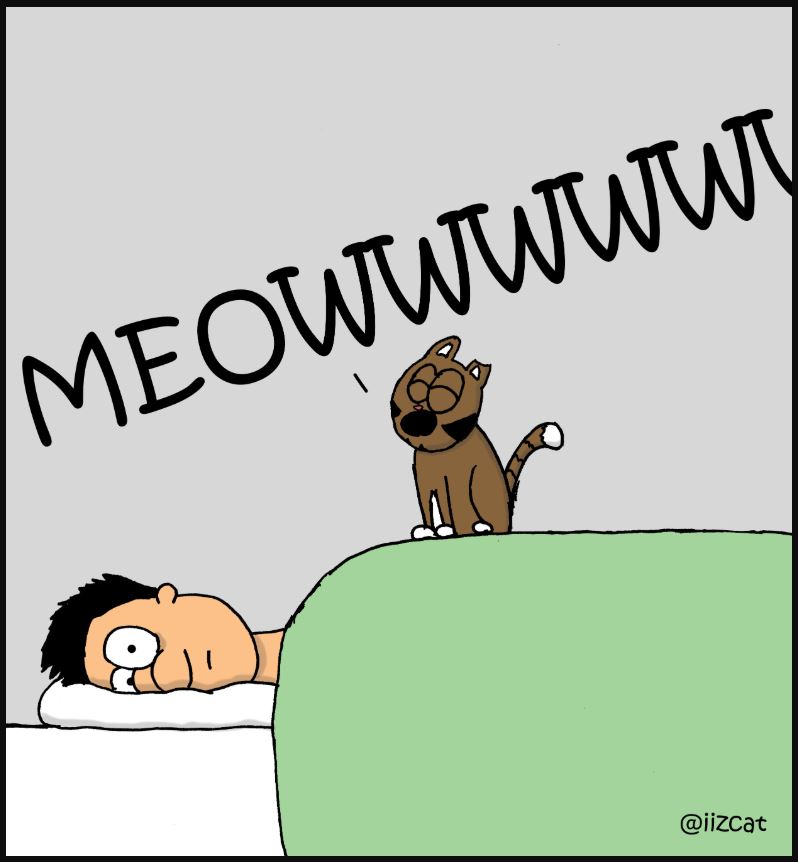 sleep in comic 4