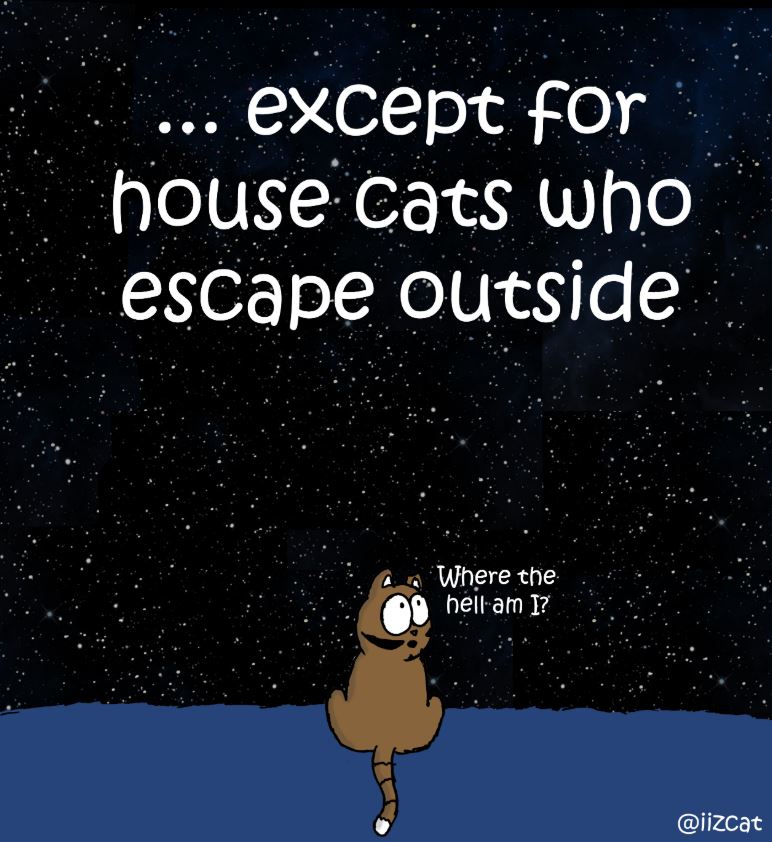 not all who wander are lost comic 2