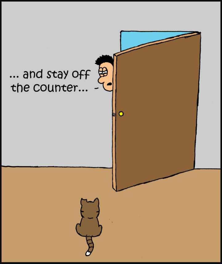 comic get off the counter 2 iizcat