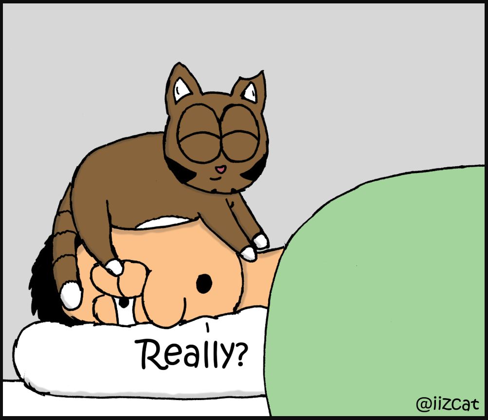 iizcat sleepy cat comic 4