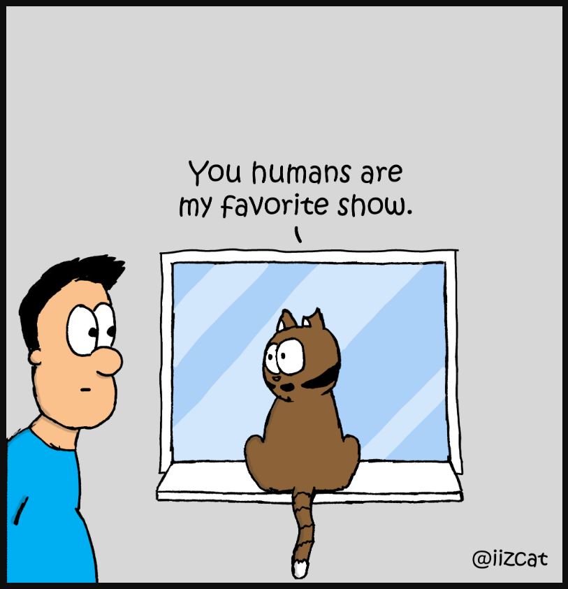 cat tv comic 7