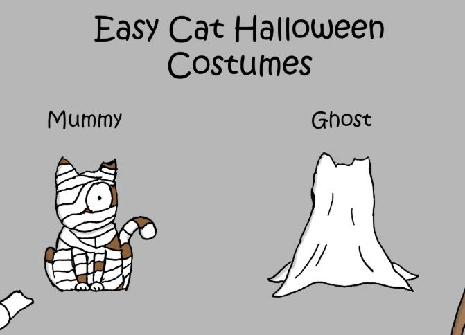 cat pictures