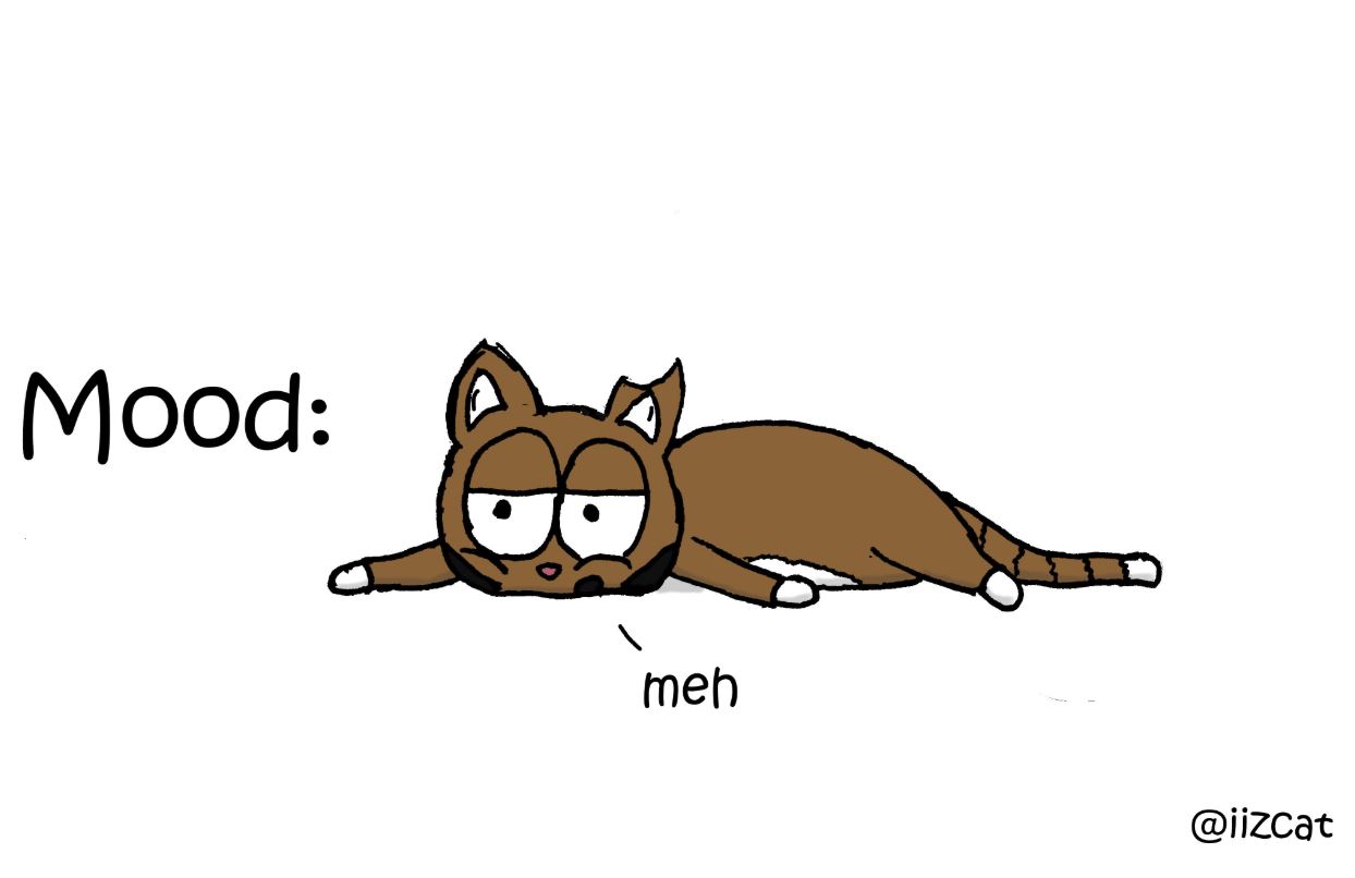 cat pictures