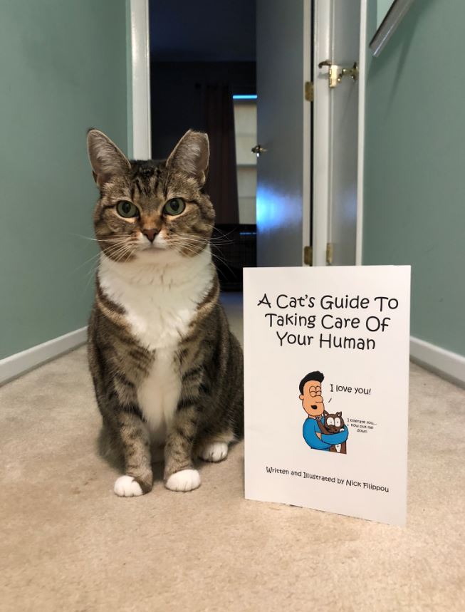 cats guide
