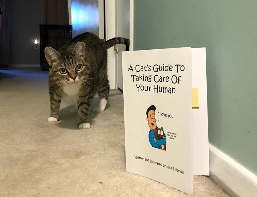 cat book title 