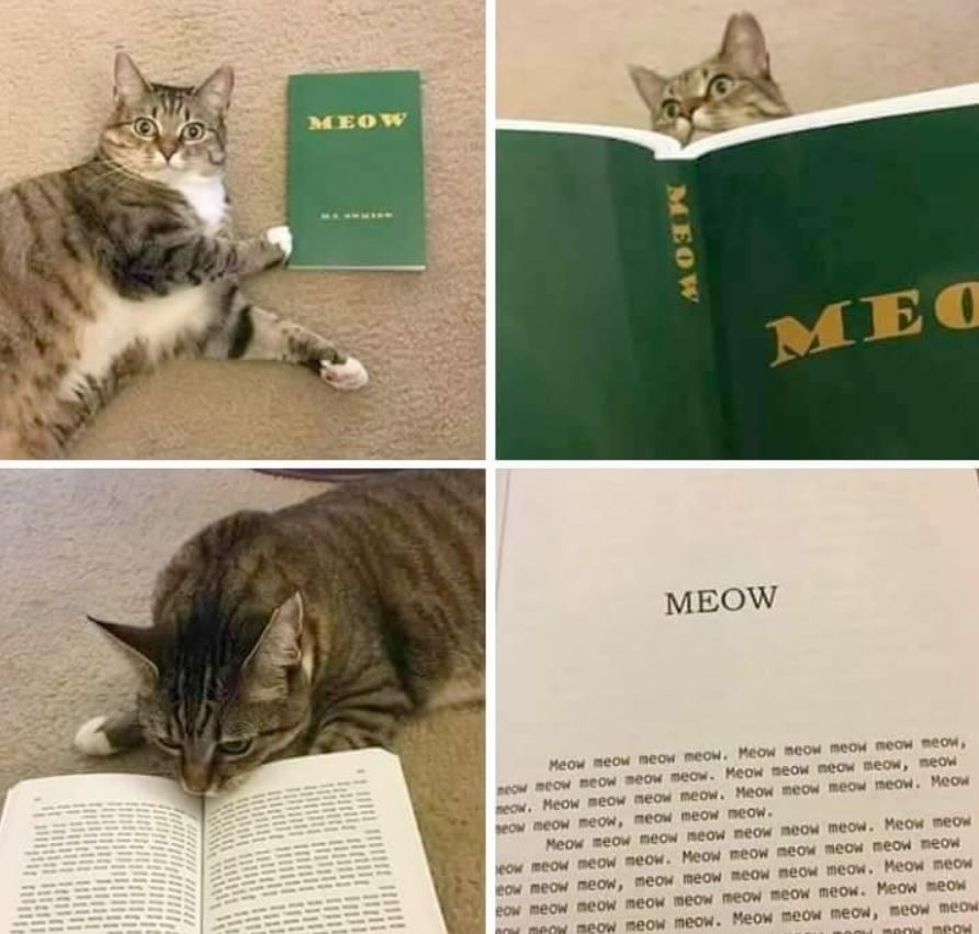 meow book