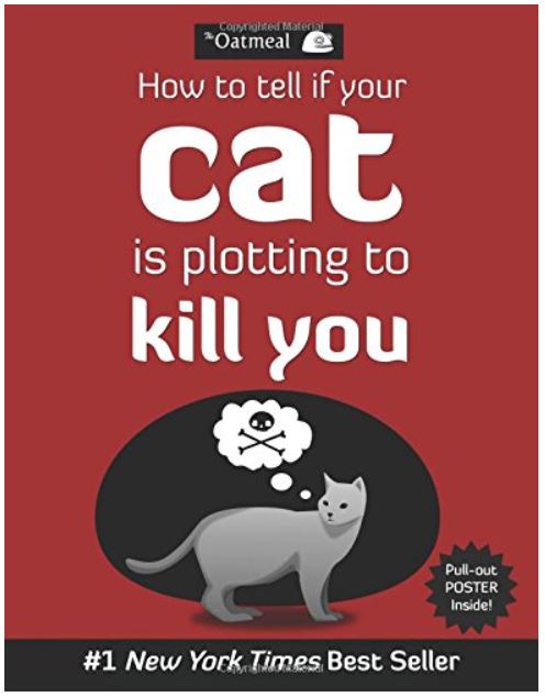 how to tell if your cat is plotting to kill you