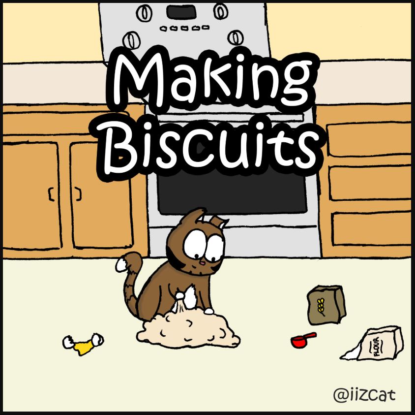 making biscuits