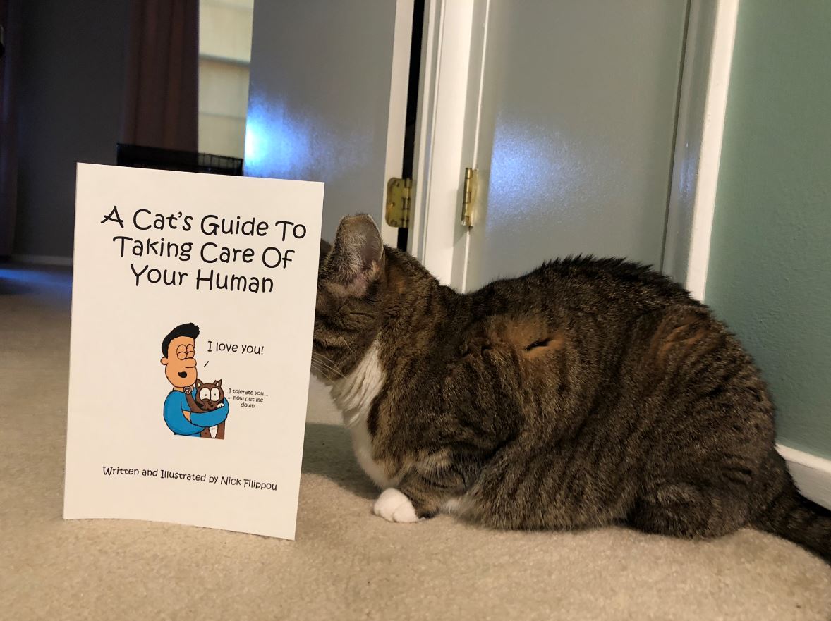 cats guide