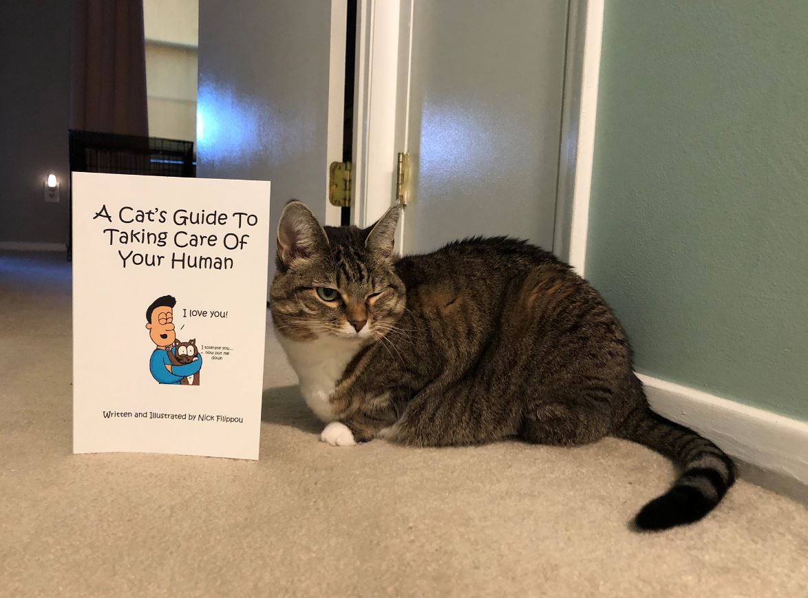 cats guide 