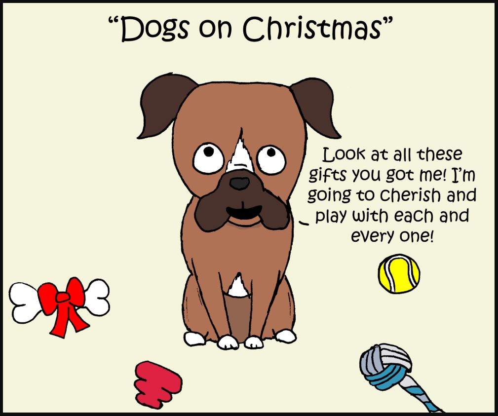 dogvscatonchristmas1