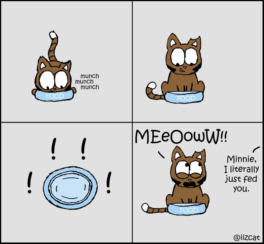 cat pictures
