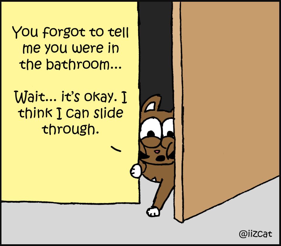 cat pictures