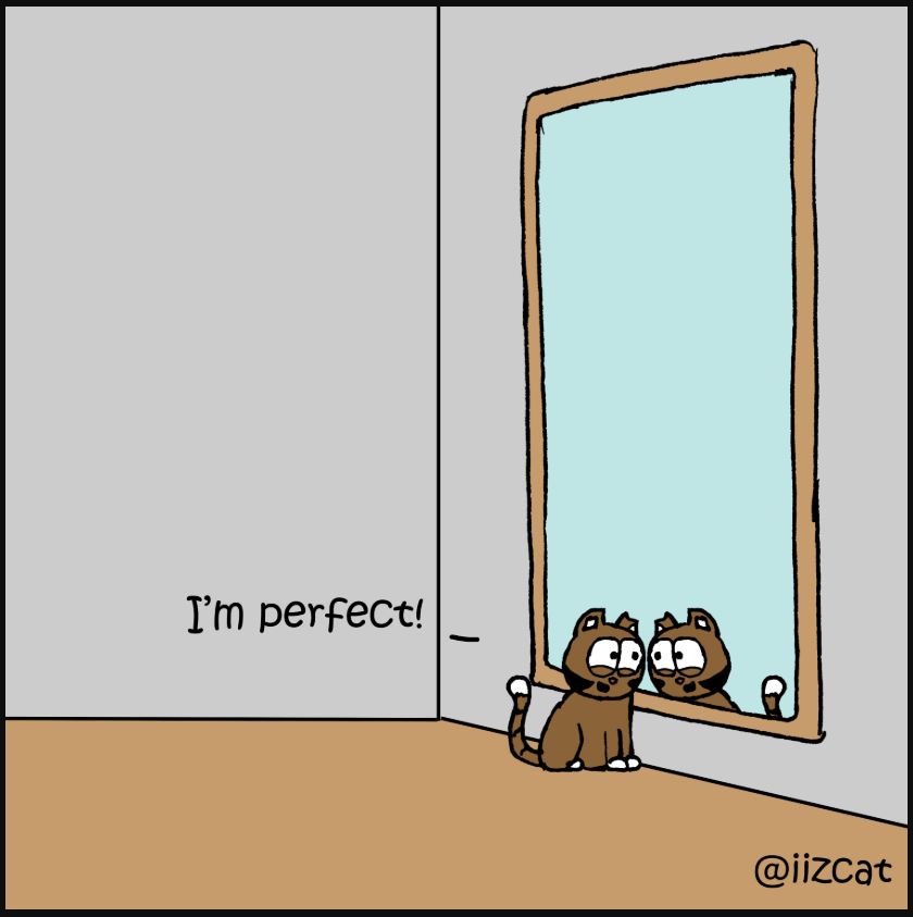mirror comic 4