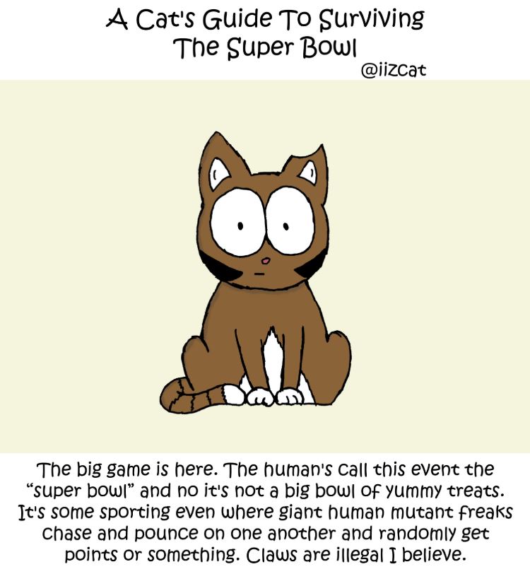 superbowl comic 1