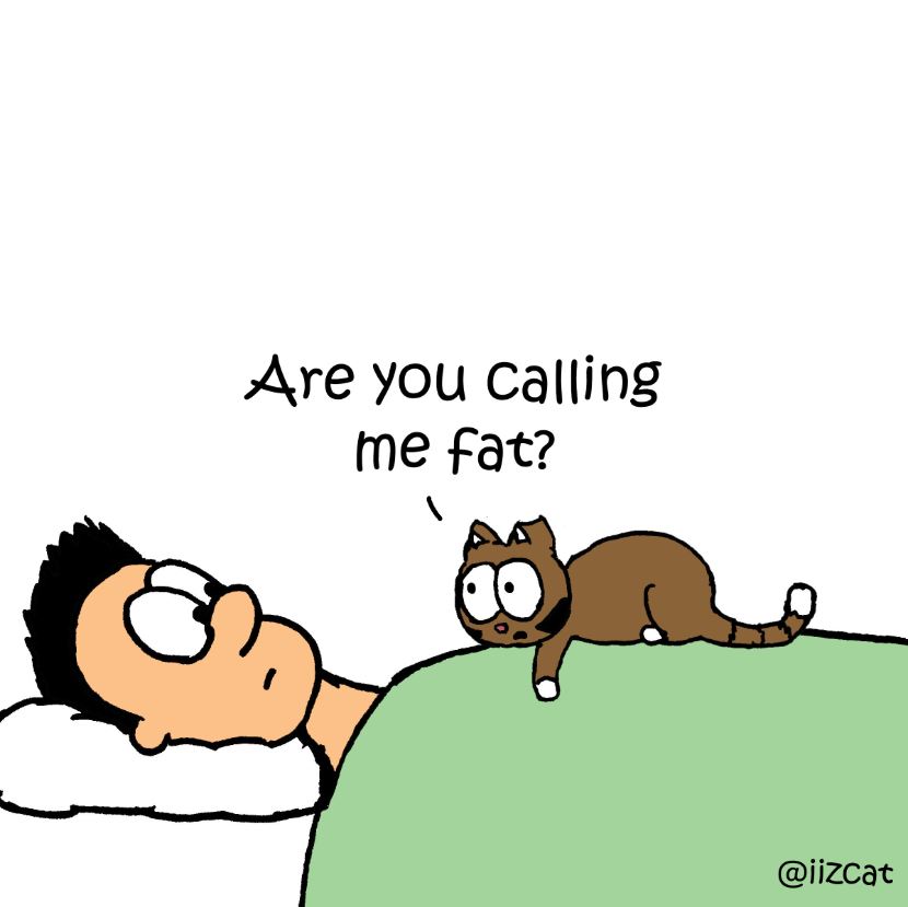 calling me fat comic 4