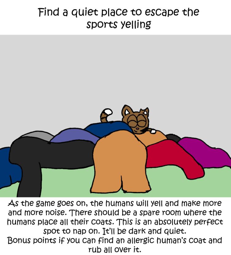 superbowl comic 6