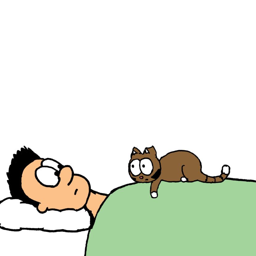 cat pictures
