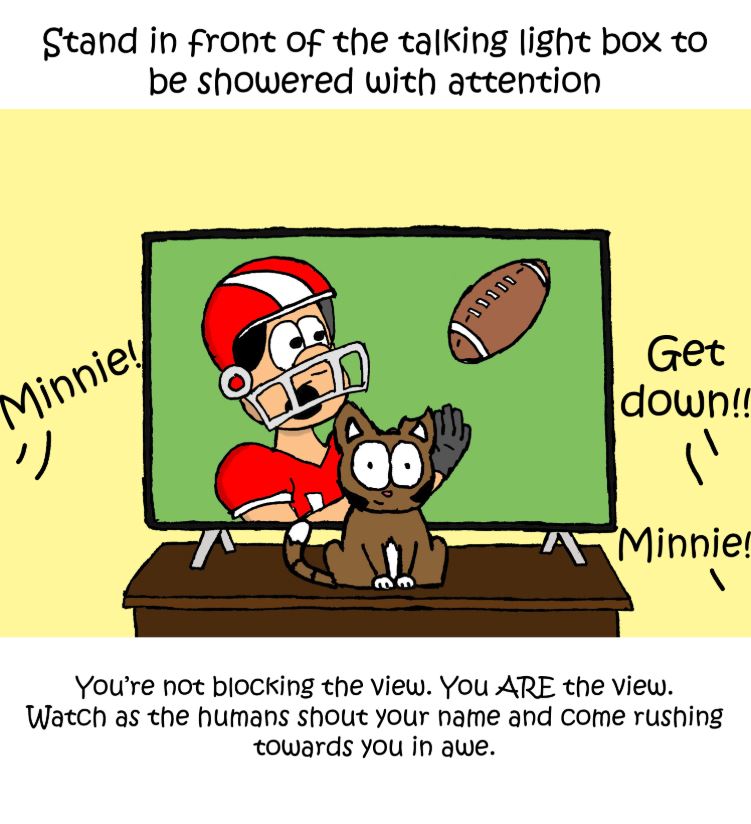 superbowl comic 5