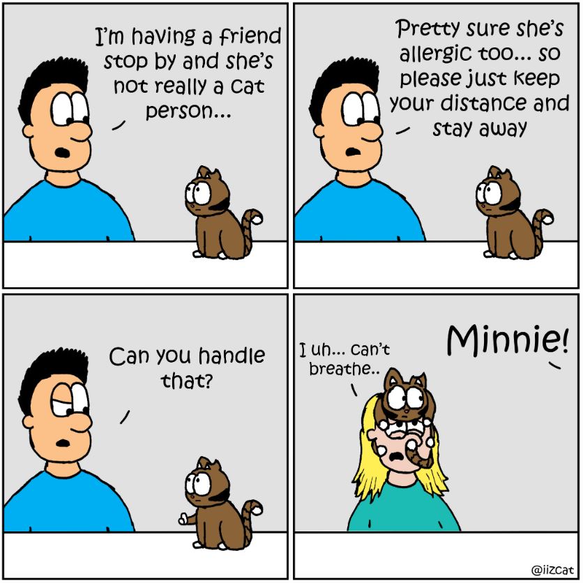 cat pictures