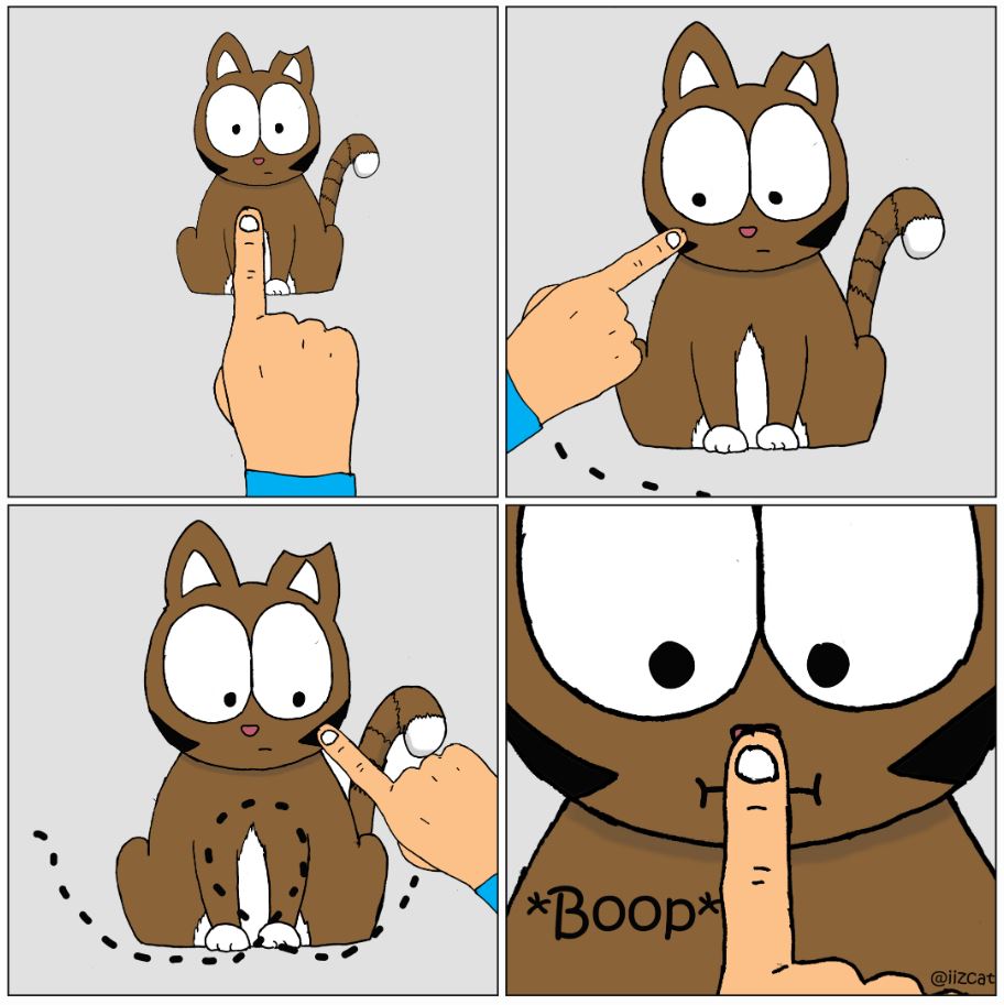 cat pictures