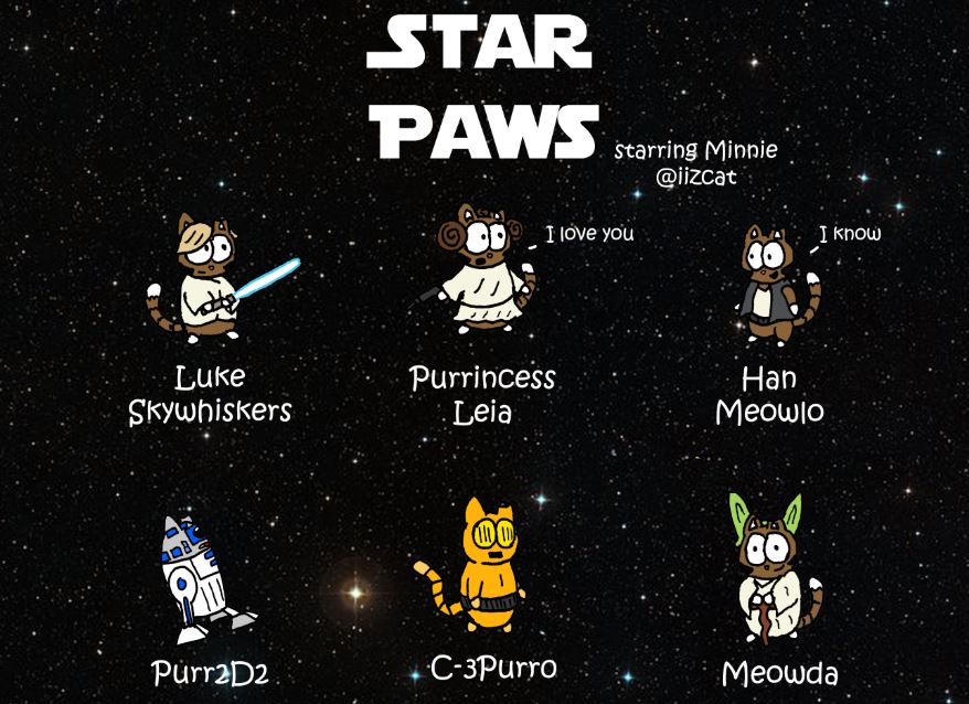 cat pictures