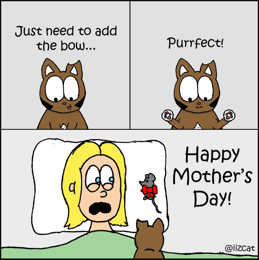 cat pictures
