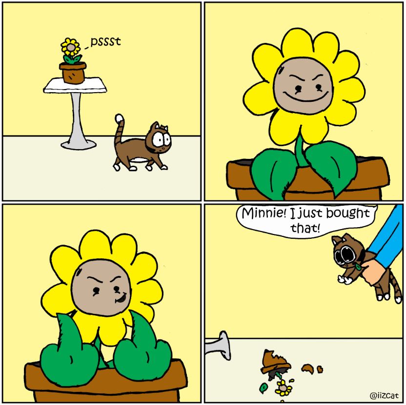 cats vs plants