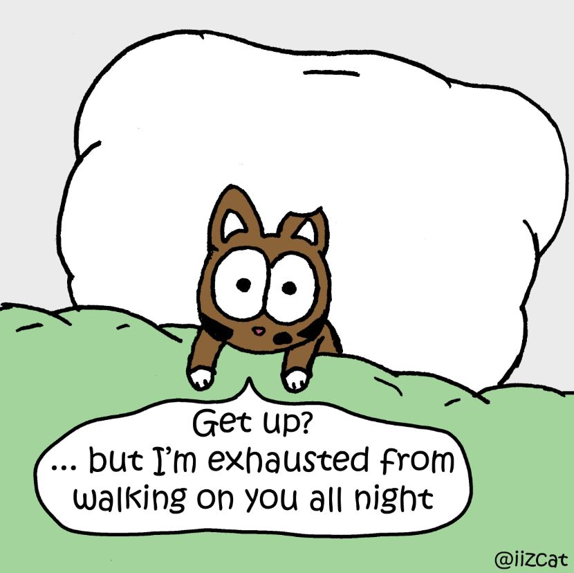exhausted cat comic