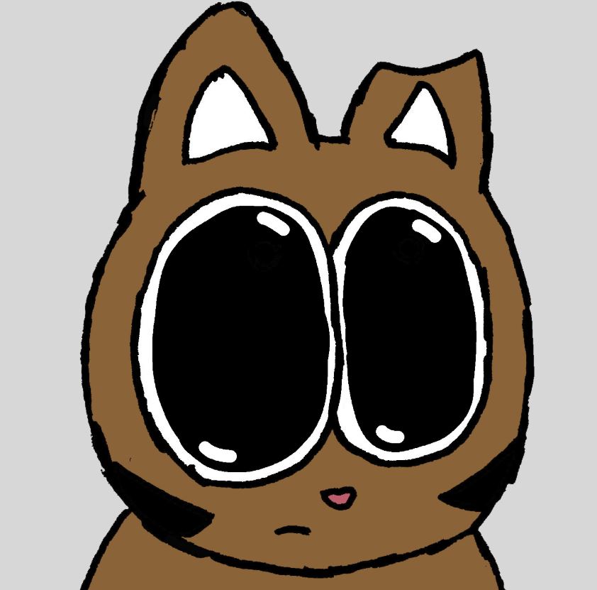 cat pictures