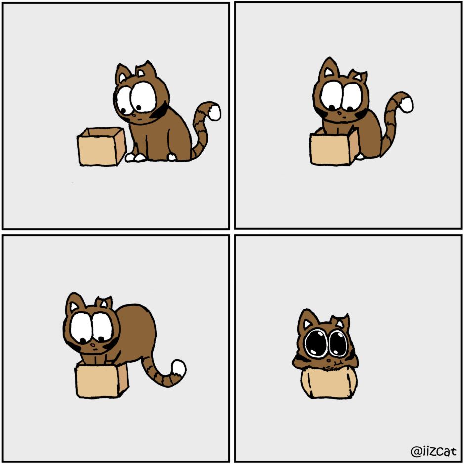 cat pictures