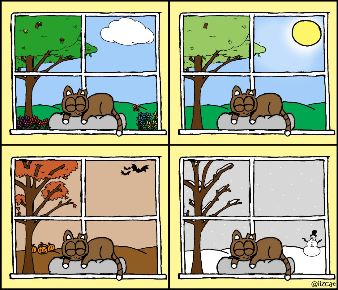 cat pictures
