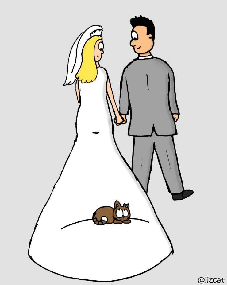 wedding comic 1